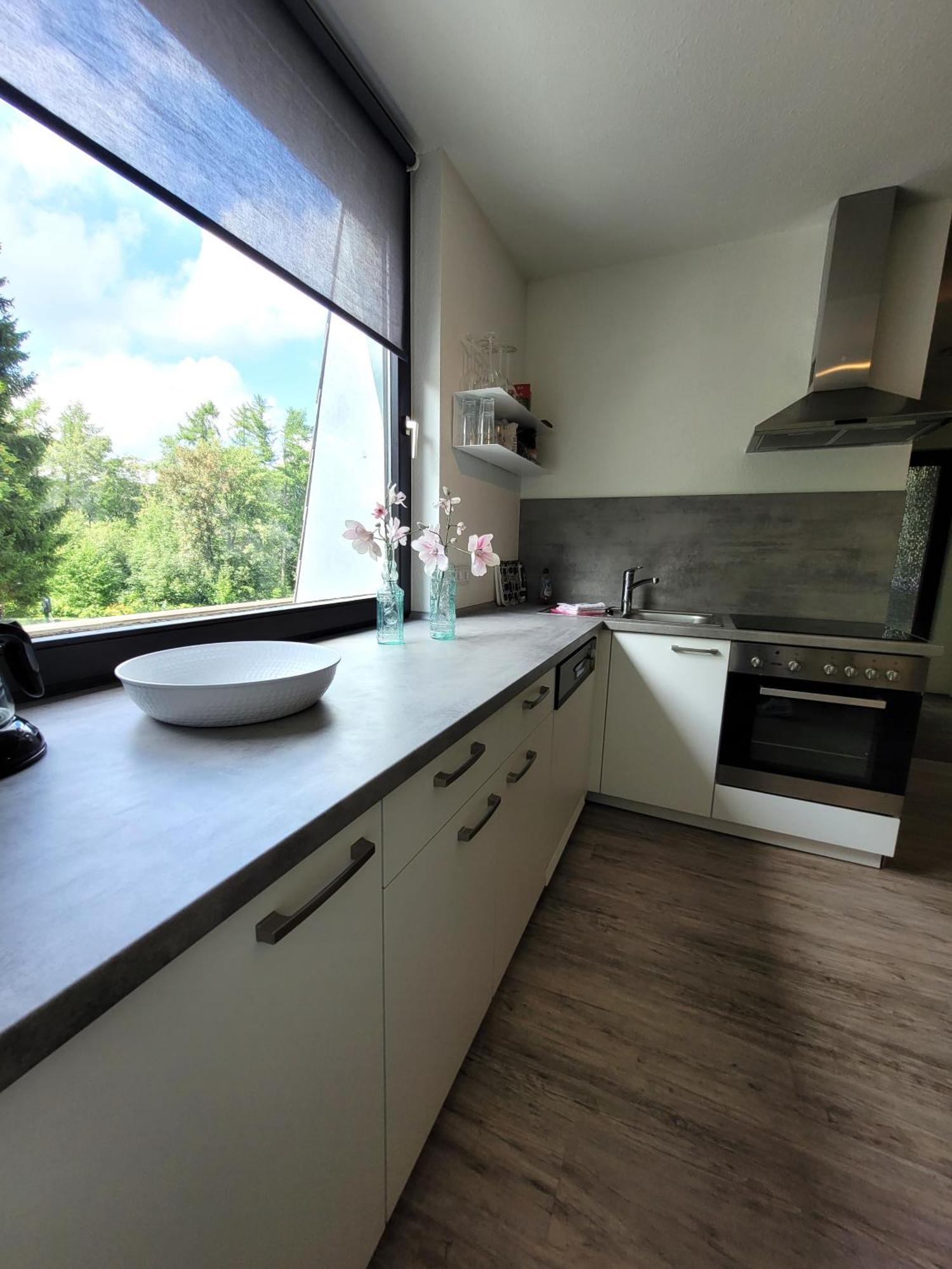 Winterberg Appartement 21097 Exteriér fotografie